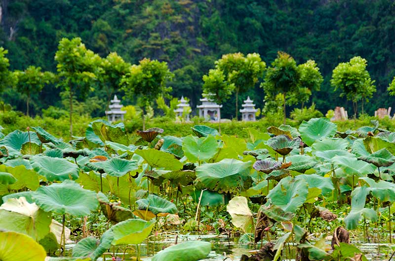 459 - Vietnam - cuevas de Tam Coc - rio Ngo Dong - paisaje